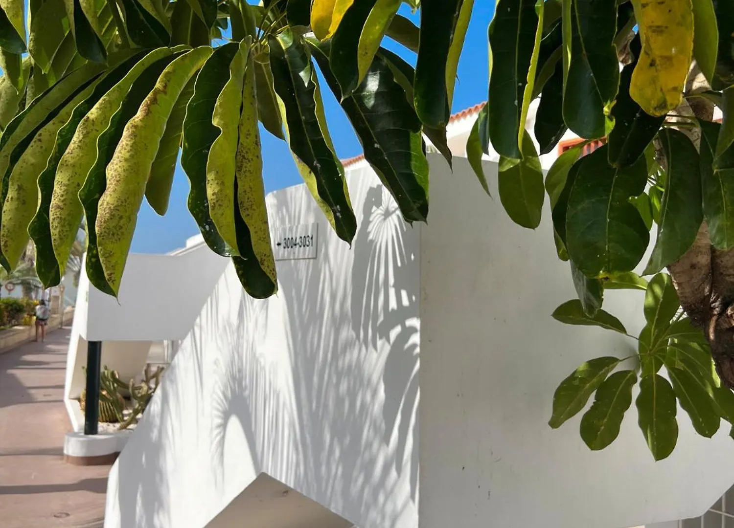 Malibu Ocean Sunset Apartment Costa Adeje  0*, Costa Adeje (Tenerife)
